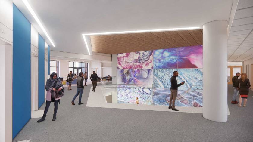 student walking in a modern building with science-themed art featured